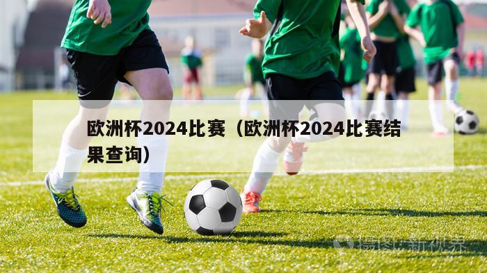 欧洲杯2024比赛（欧洲杯2024比赛结果查询）