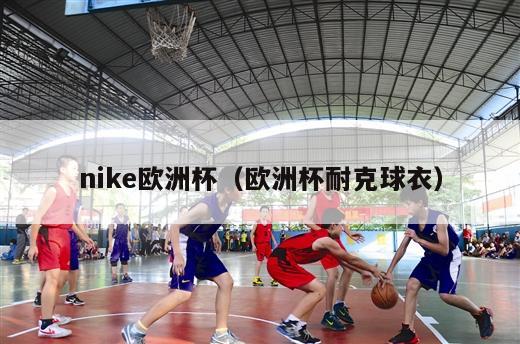 nike欧洲杯（欧洲杯耐克球衣）