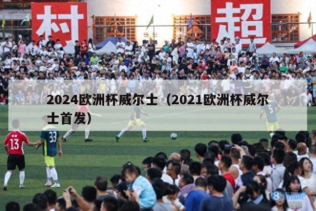 2024欧洲杯威尔士（2021欧洲杯威尔士首发）